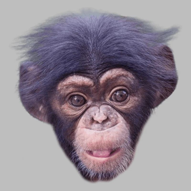 Mode de visage de singe mignon