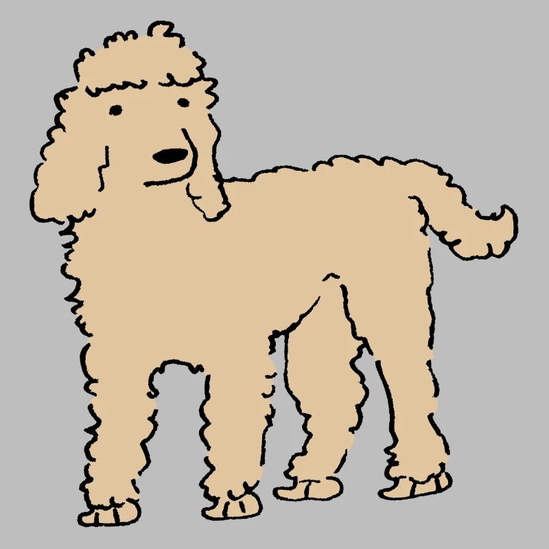 Pudel