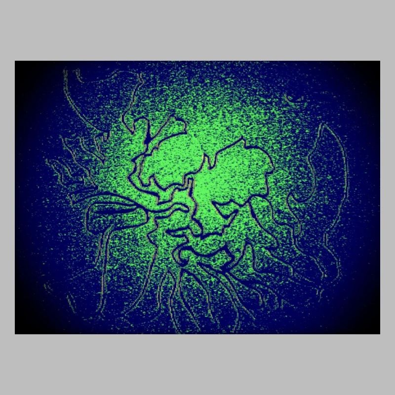 Dark Light Forest