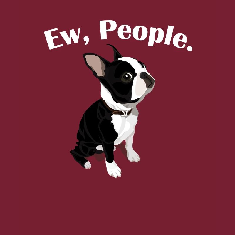 Boston Terrier