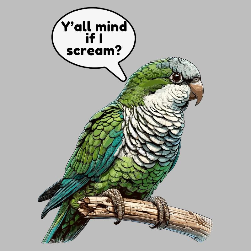 Quaker Parrot Monk Parakeet