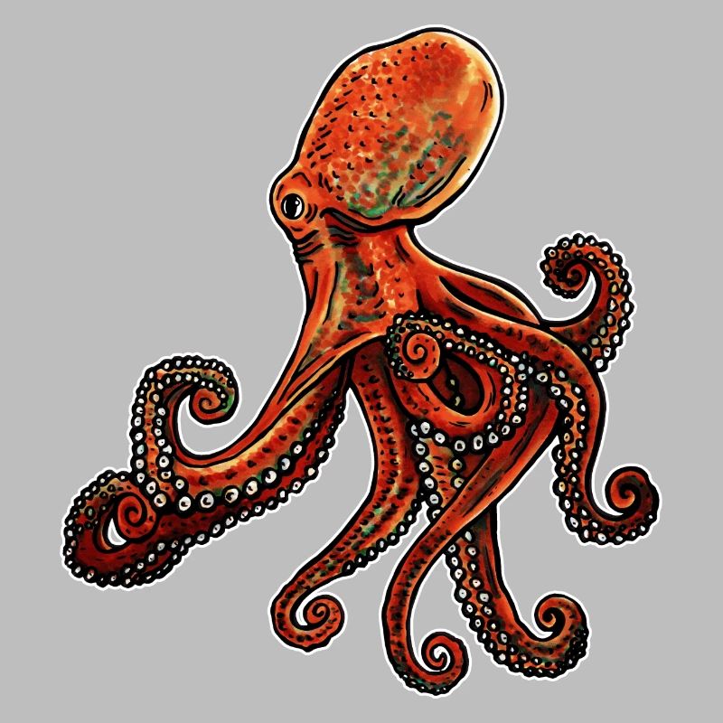 Octopus