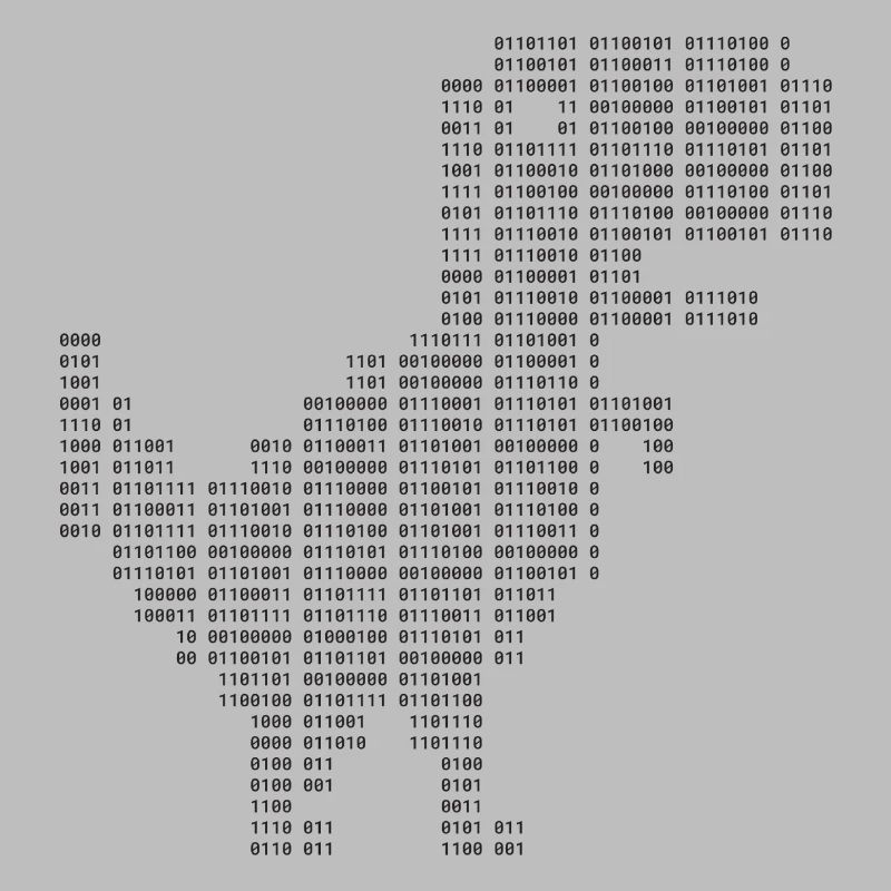 Dinosaur Binary | Google dinosaur | 404 | T-rex |