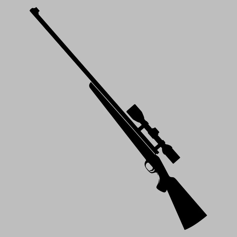 Fusil de précision fusil de chasse