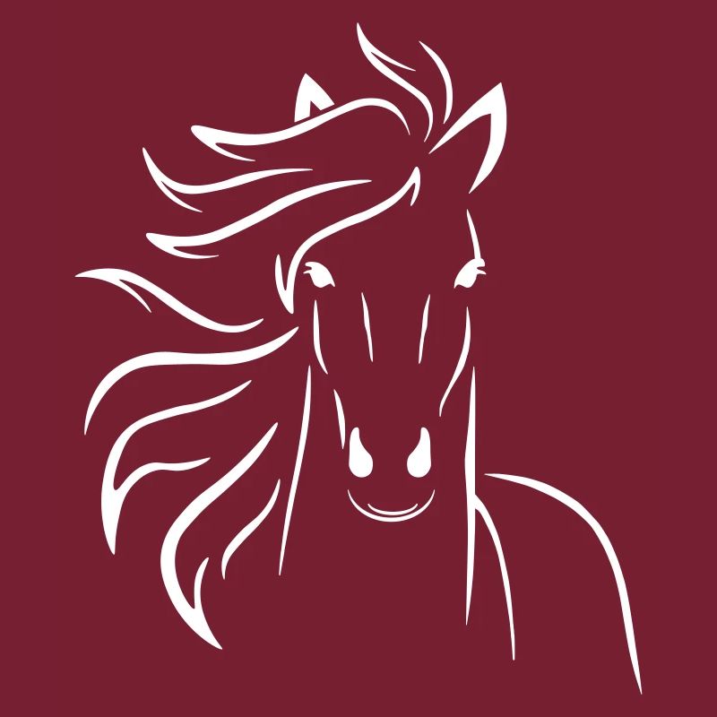 Cheval dans le vent en blanc