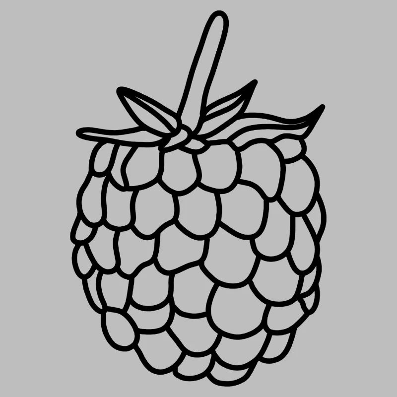 Framboises berry vitamines