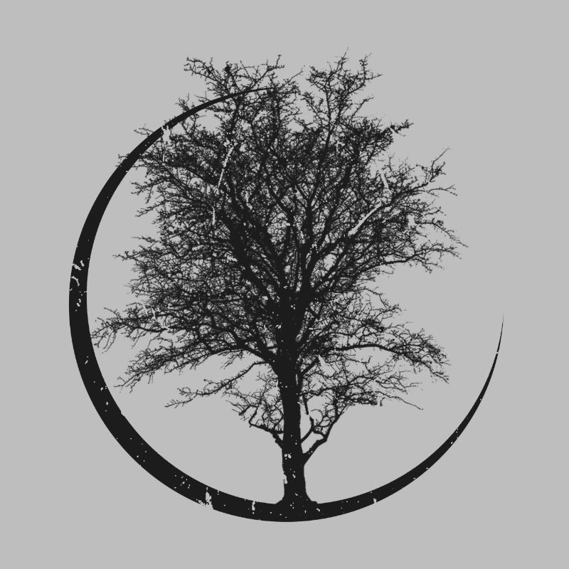 Baum