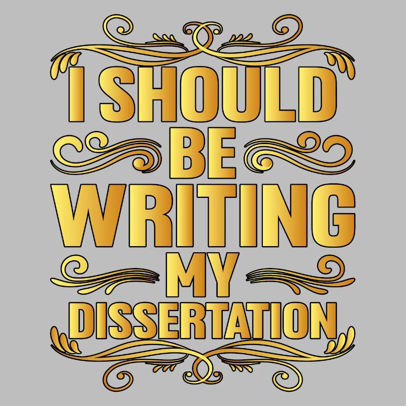 I Should Be Writing My Dissertation 7