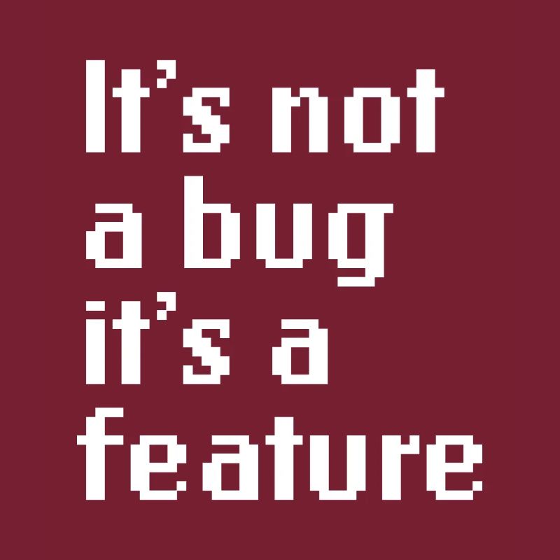 It’s Not A Bug It’s A Feature Web App Developer