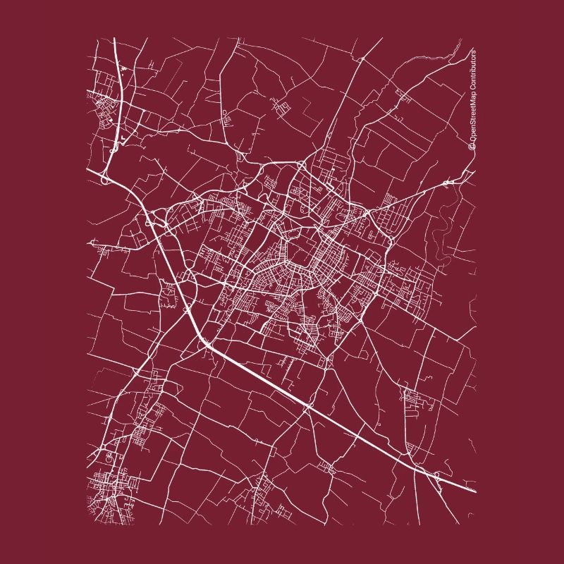 Plan et rues de Modène