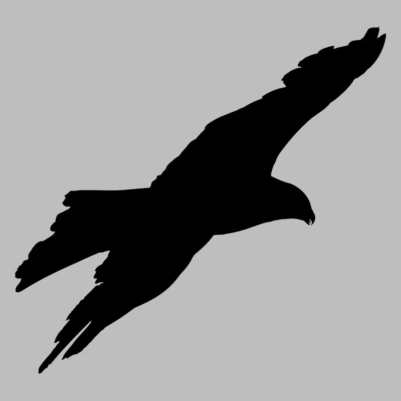 gliding eagle