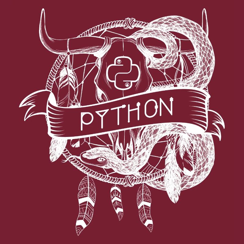 python Programmiersprache technologie
