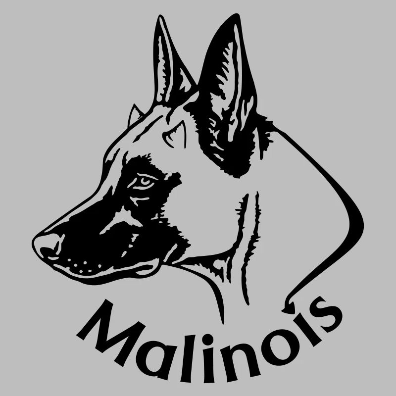 Diable malinois