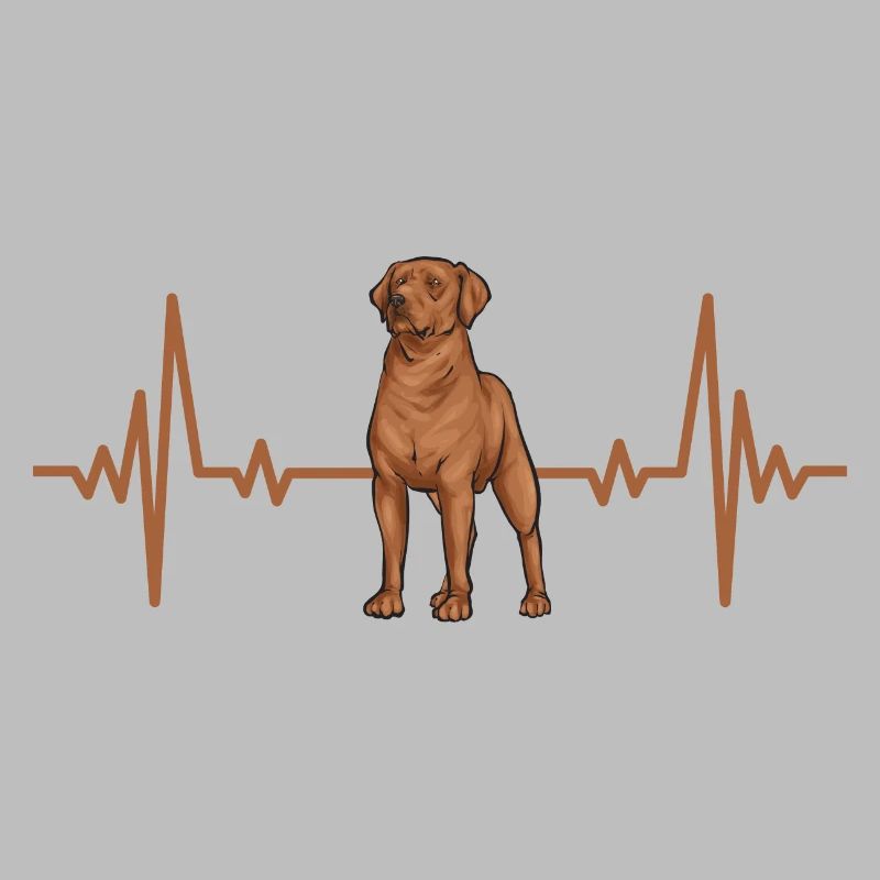 Fuchsroter Labrador Retriever Fox Red Labrador