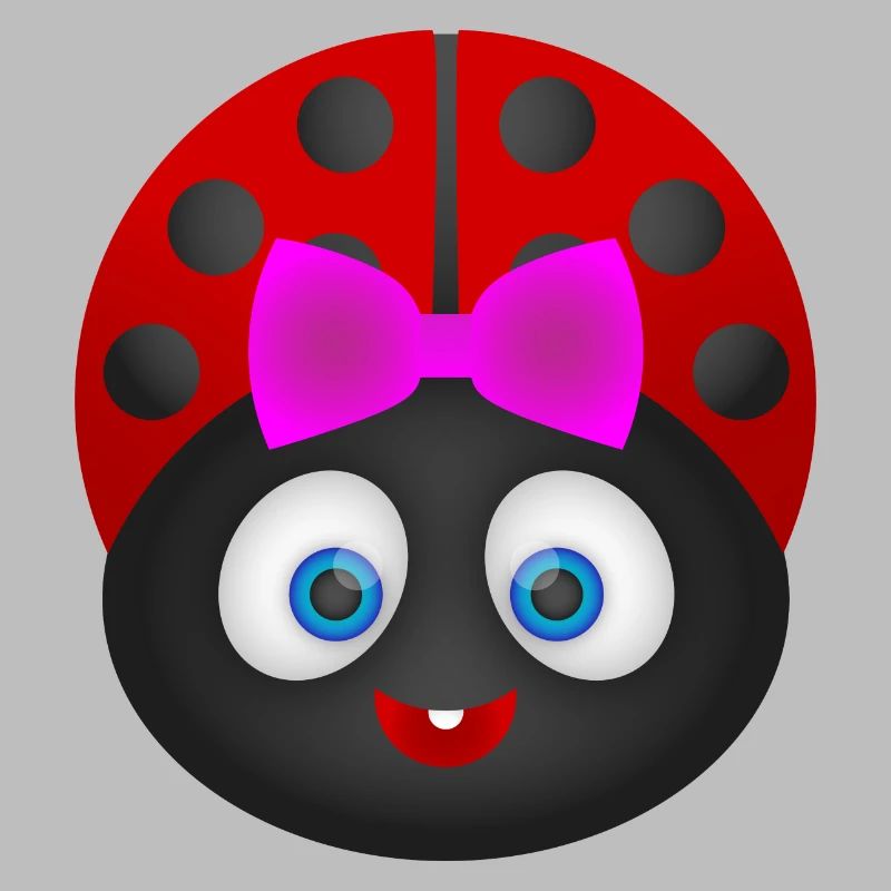 Marienkäfer - Ladybug ! Geschenk Idee !