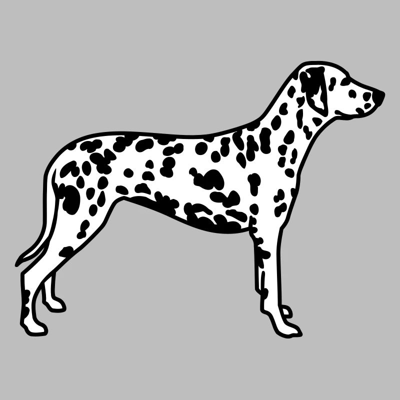 dalmatien