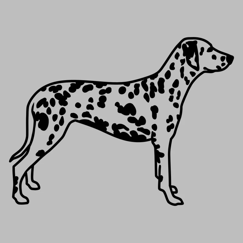 dalmatien