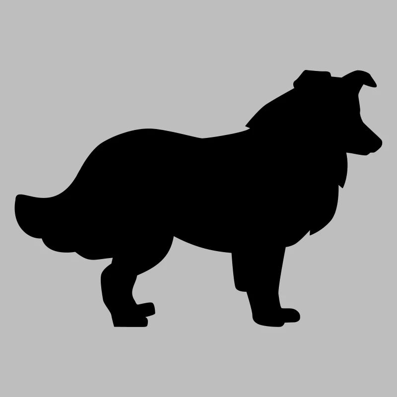 Collie