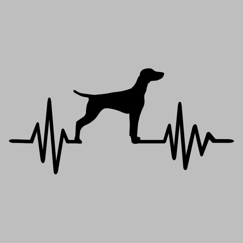 Vizsla