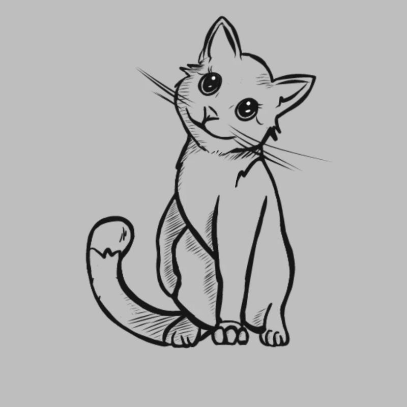 chat mignon