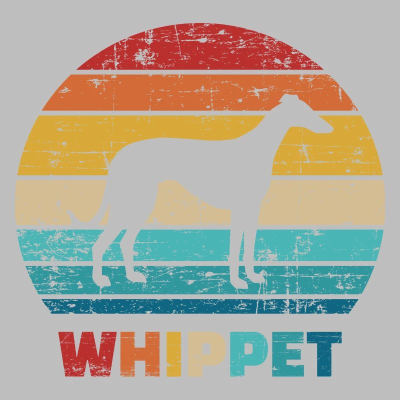 Whippet