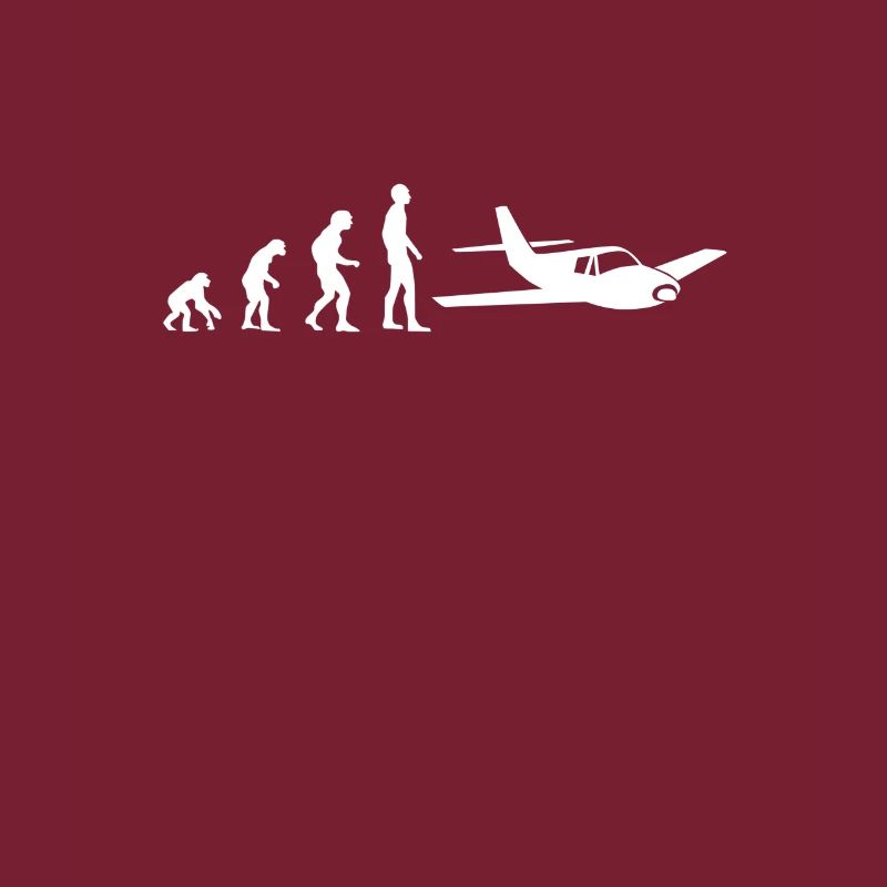 evolution pilot flugzeug