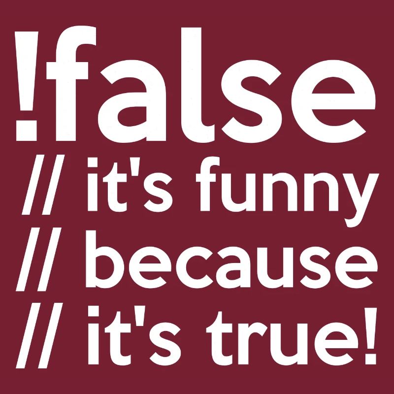 Programmierer false true Informatiker Student Code