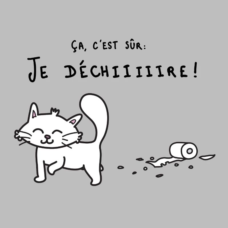 Chat qui déchire