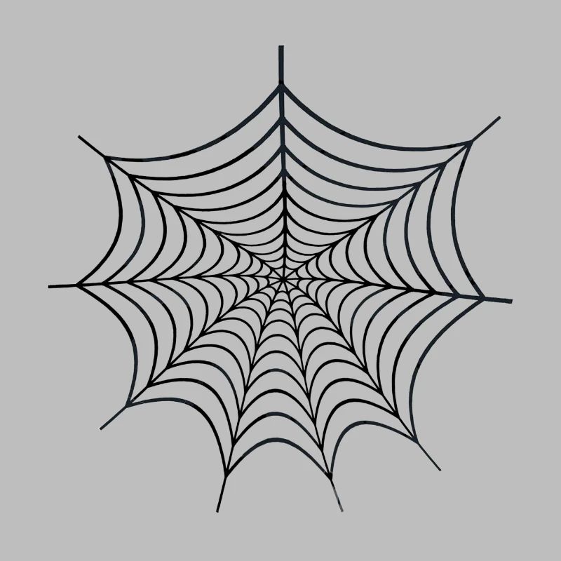 Spider Web Geschenk Spiderman Spinnennetz