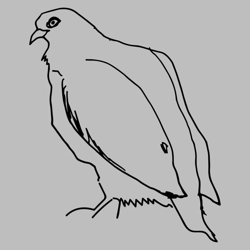 white dove eats the last chestnut