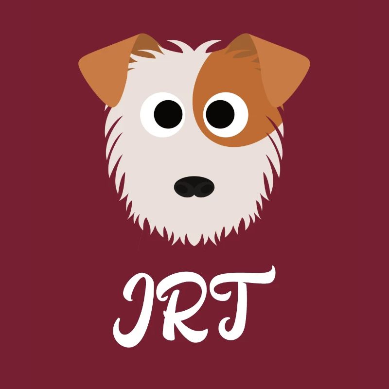 JRT - Jack Russel Terrier