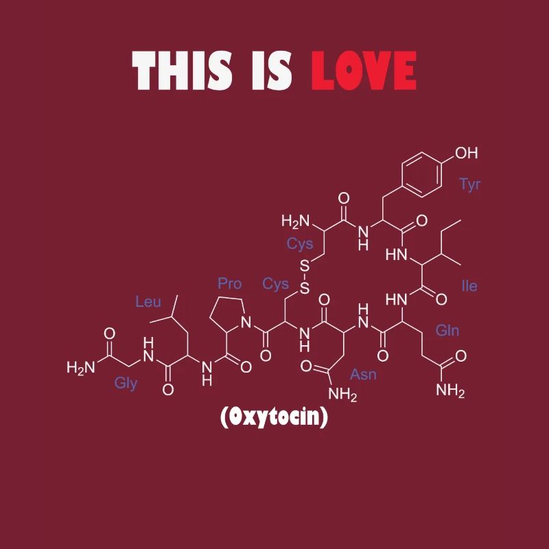 C’est la molécule d’ocytocine d’amour