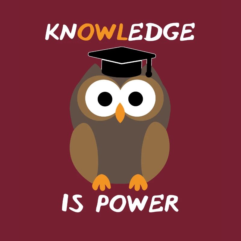 Eule Owl
