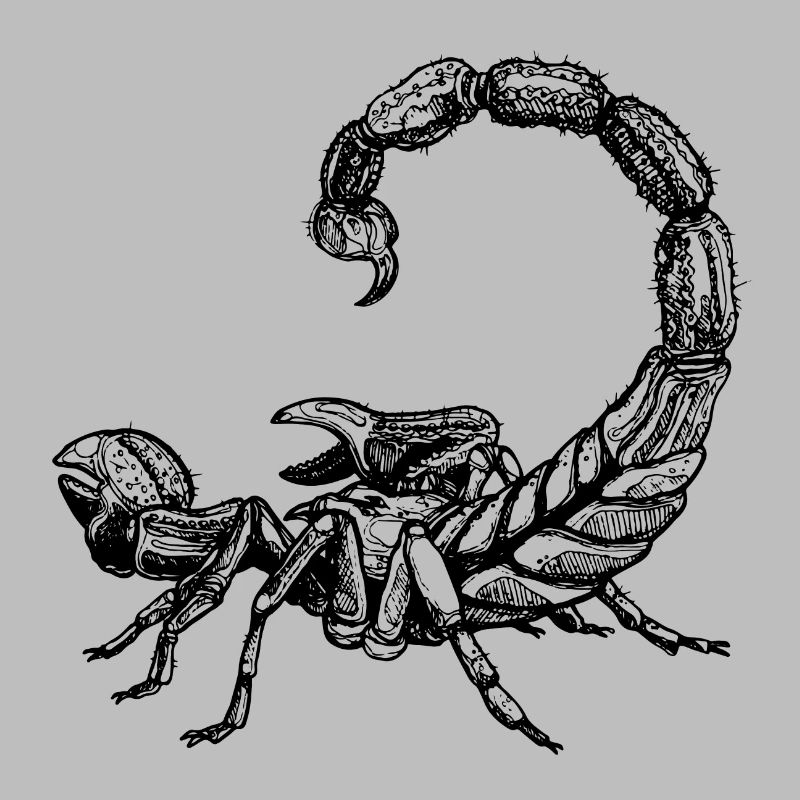 Skorpion
