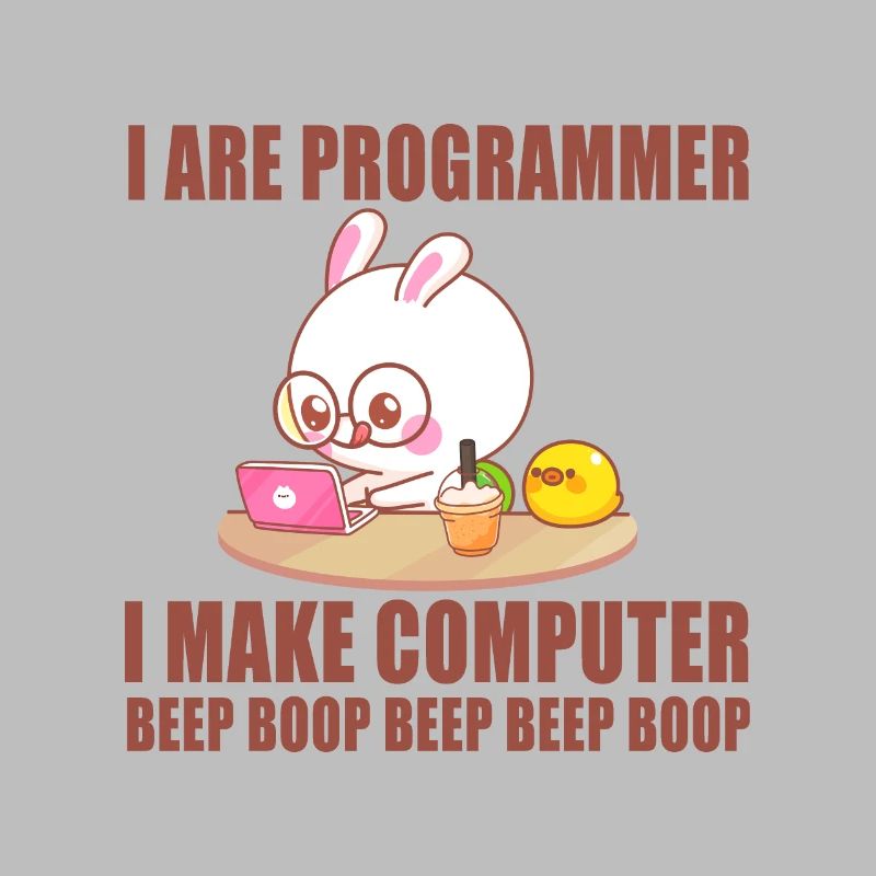 Ich bin Programmierer