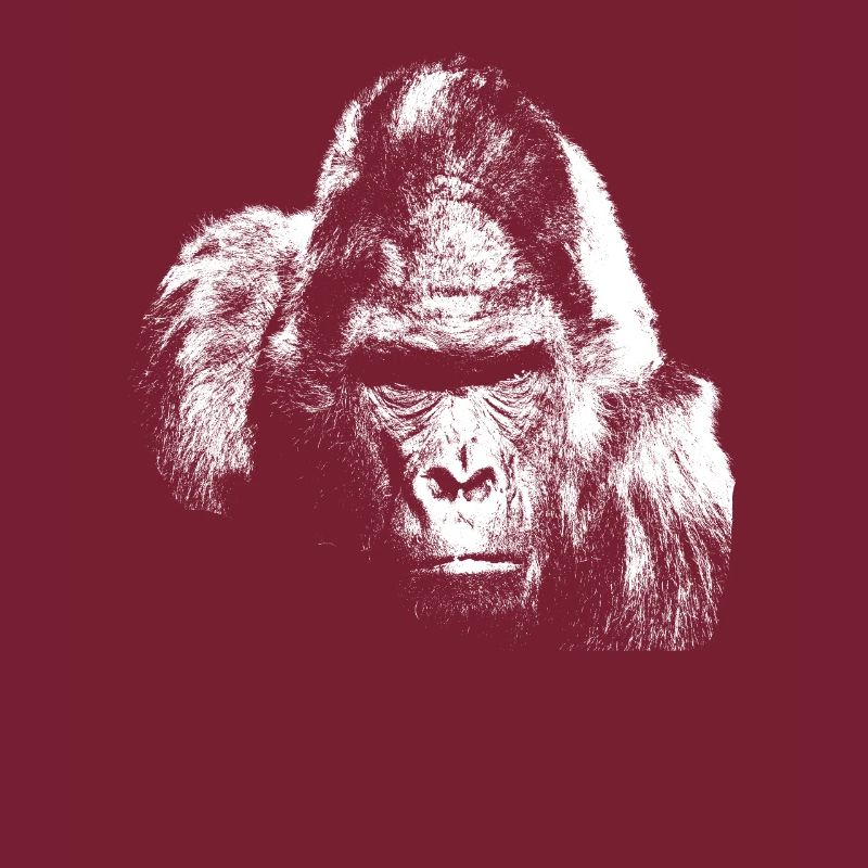 Gorilla silverback monkey