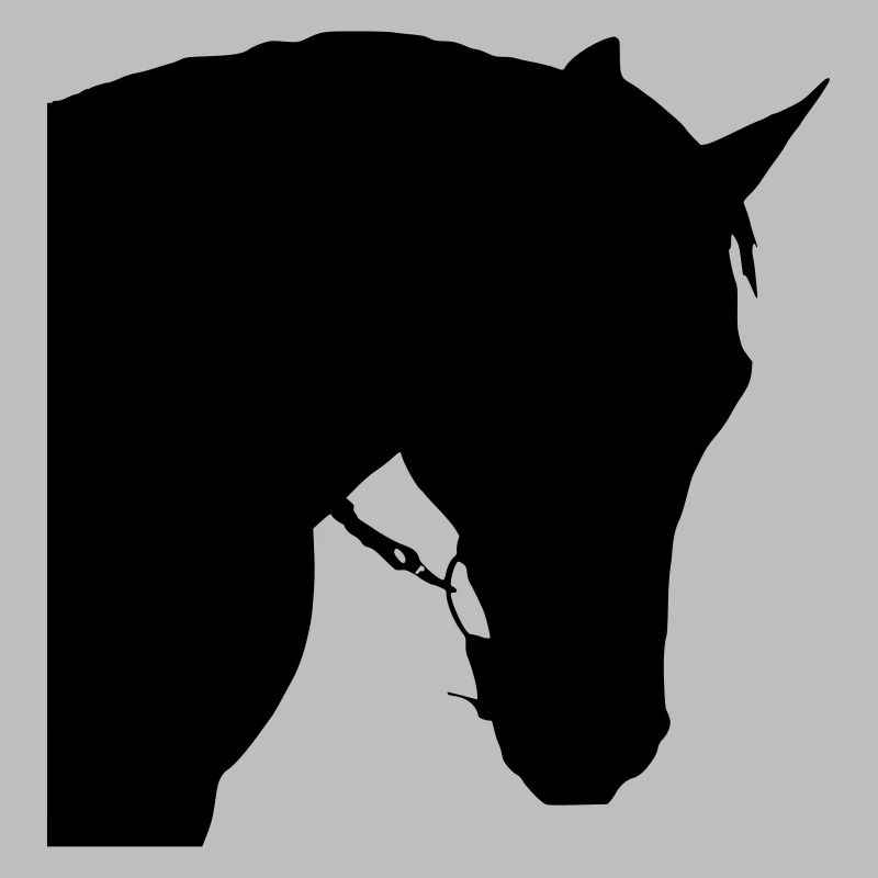 Tête de cheval 6