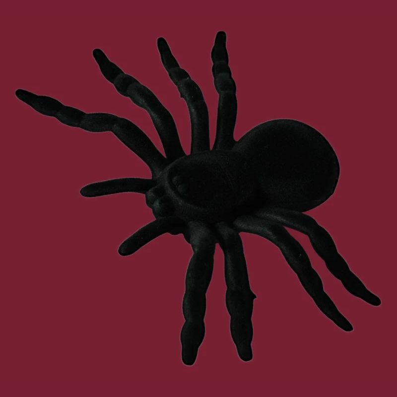 Spider Web, Spider Web, Spider Phobia, Disgusting Gift