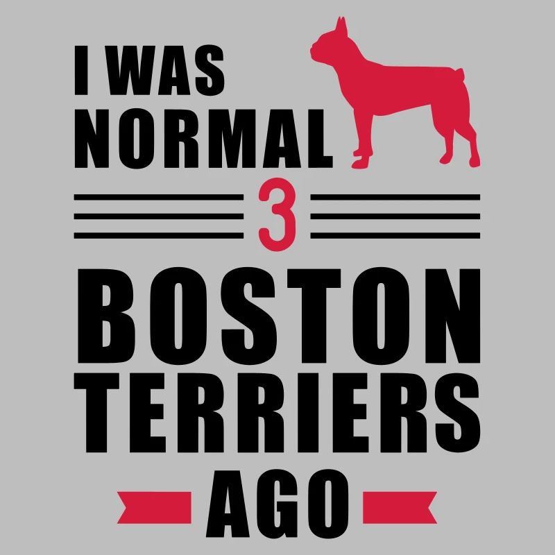 Boston Terrier
