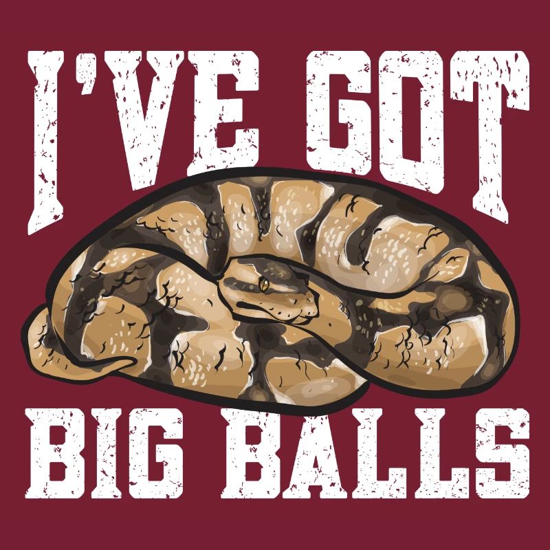 Ball Python Schlange Königspython