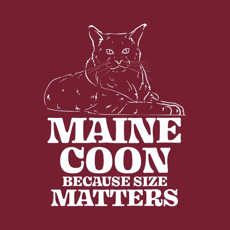 Maine Coon Because Size Matters