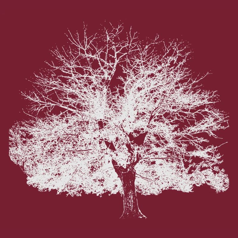 Winter tree white