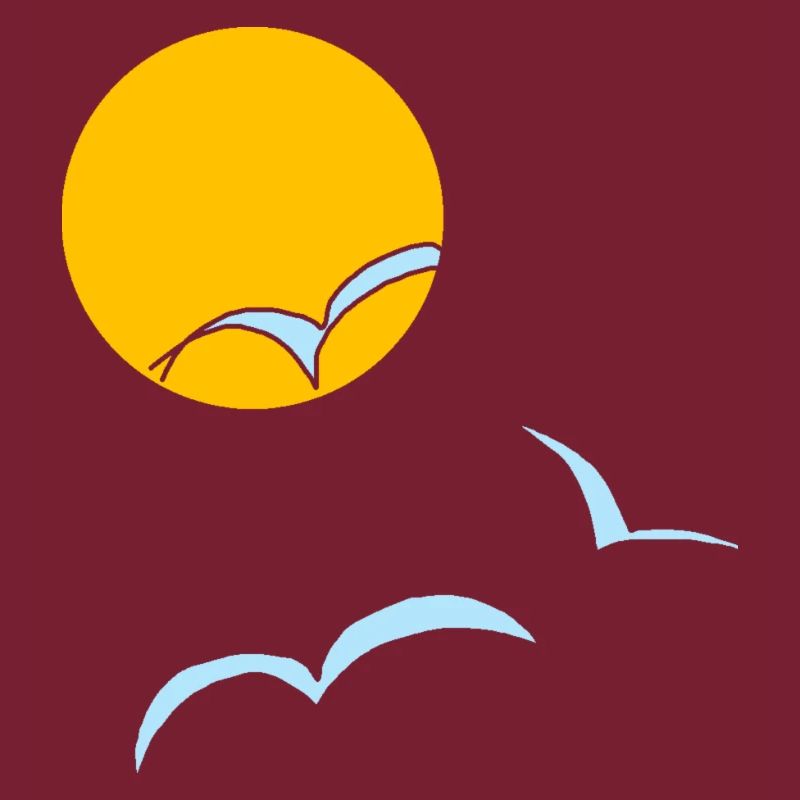 Sonne Möwen 02