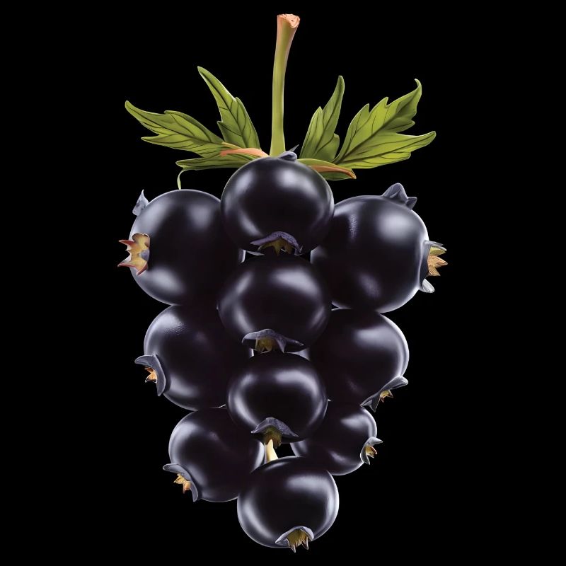 Brombeere Frucht