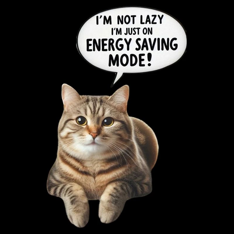 I'm Not Lazy, I'm on Energy Saving Mode