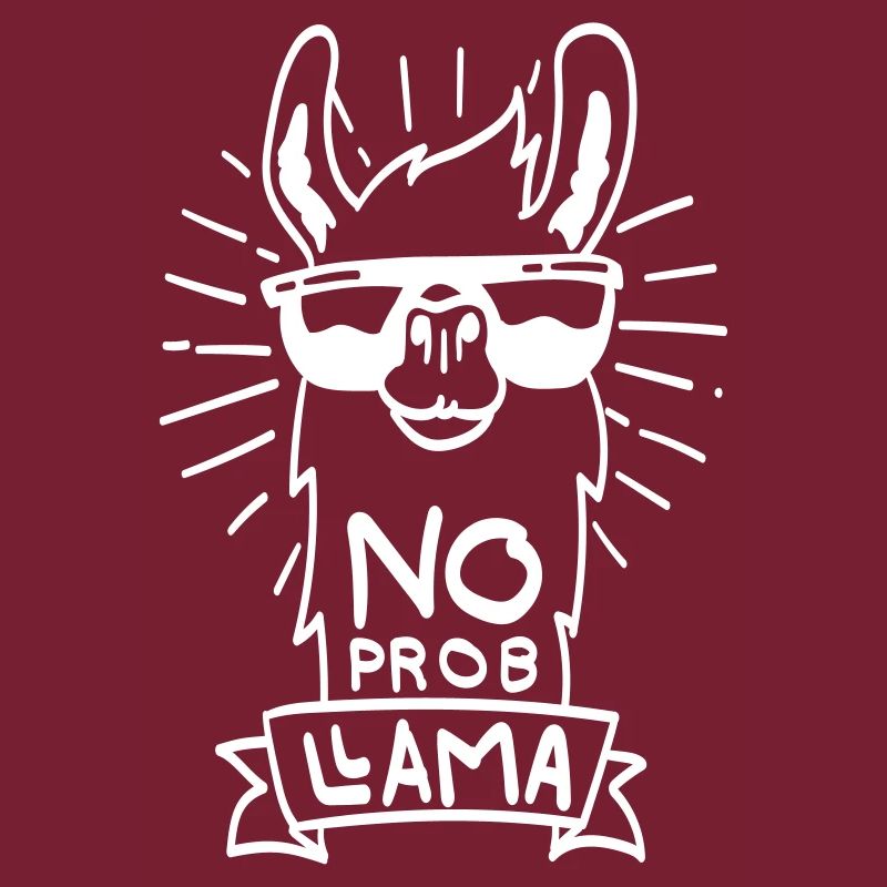 No ProbLlama - cadeau de lama cool