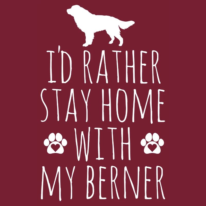 Bouvier bernois