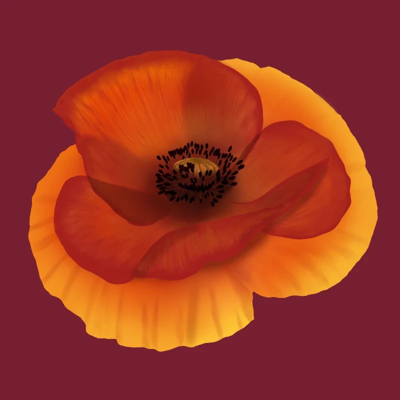 Mohn