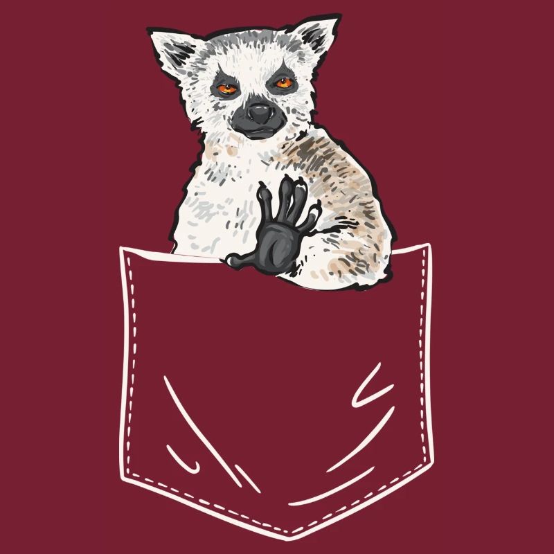 Lemur Catta Ring-tailed lemur