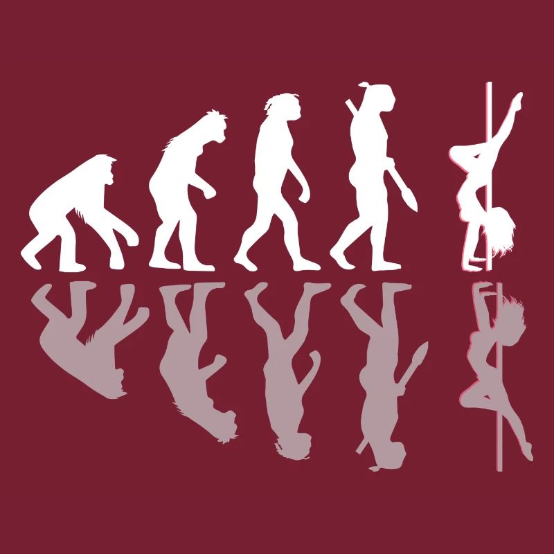 Pole dance evolution gift shadow
